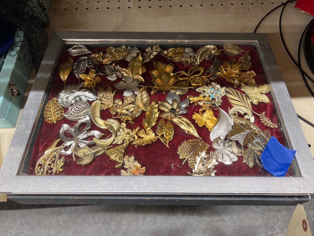 Assorted Pins & Brooches in Display Box
