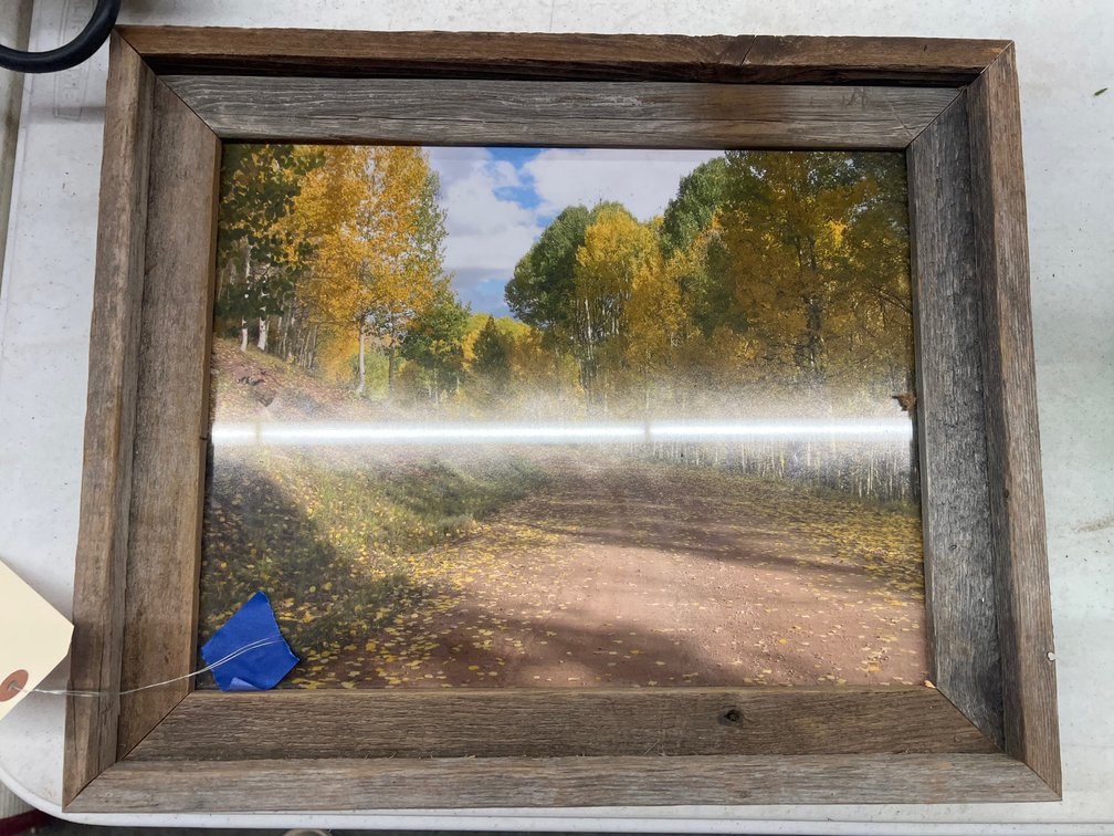Framed Picture 17"x14"