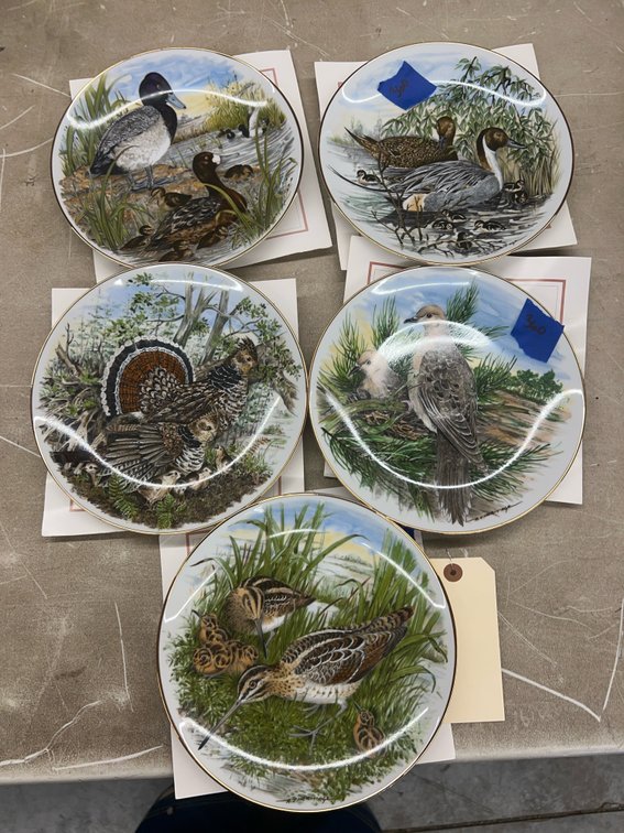 5 Pcs - Game Birds of the South Decorative Plates