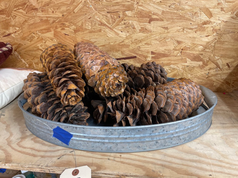 Large Pine Cones & Galvanized Serving Tray