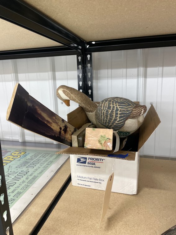 Stuffed Goose - Sports Cards - Wallpaper - Light Switch Cover