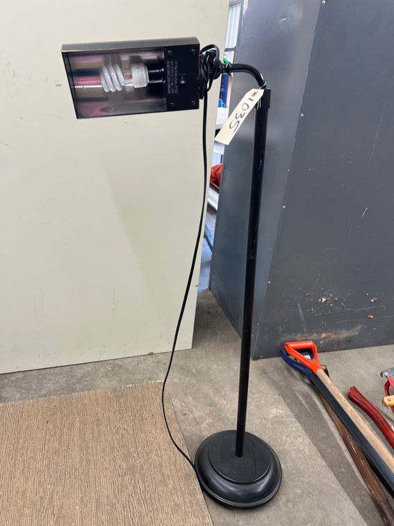 Adjustable Floor Lamp