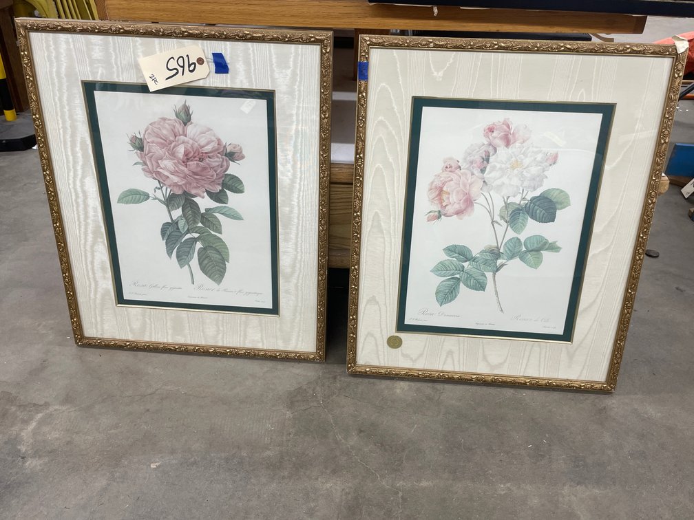 2 - Framed Matted Prints 23"x28"