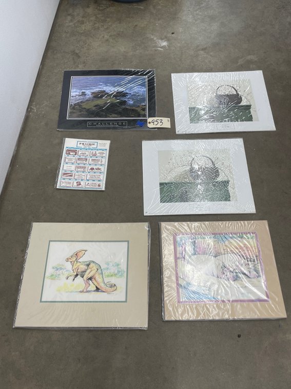 5 Pcs - Assorted Prints 20"x16"