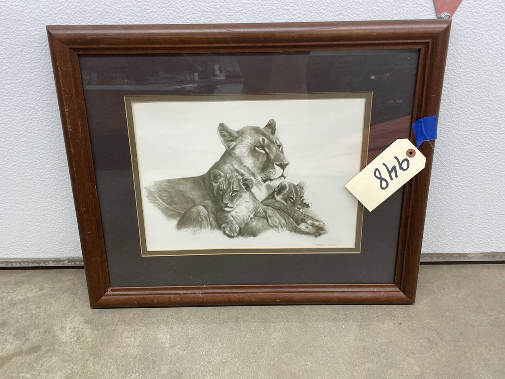 Framed Signed & Numbered Print 273/450 23"x19"