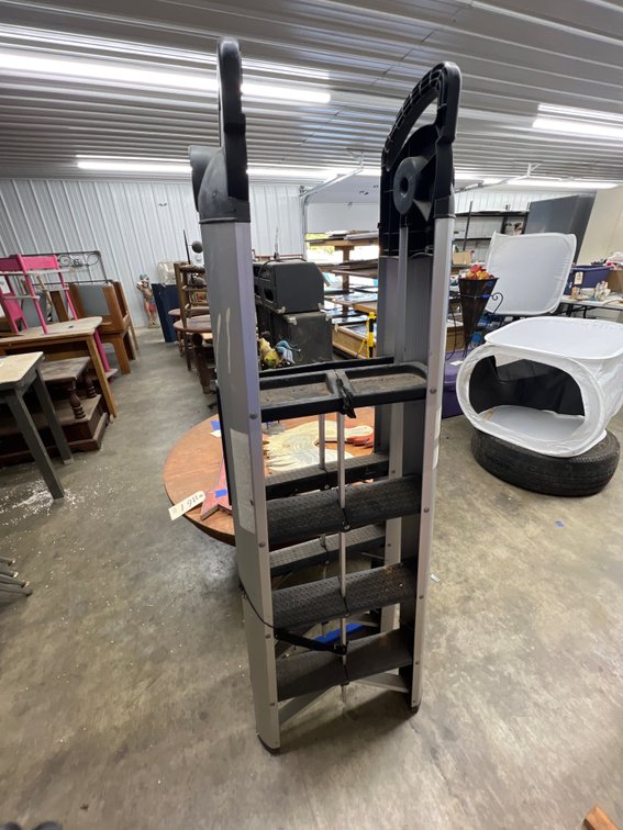 Costco Super Fold Compact 2 Sided 3 Step Folding Ladder 29.5