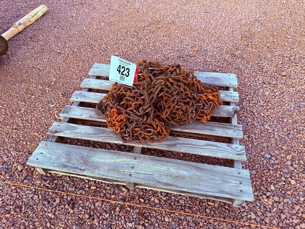 Lot 423