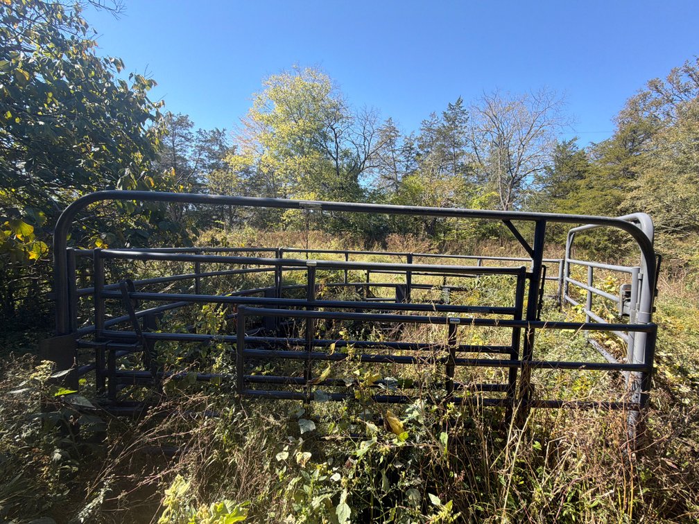 Cattle Sweep