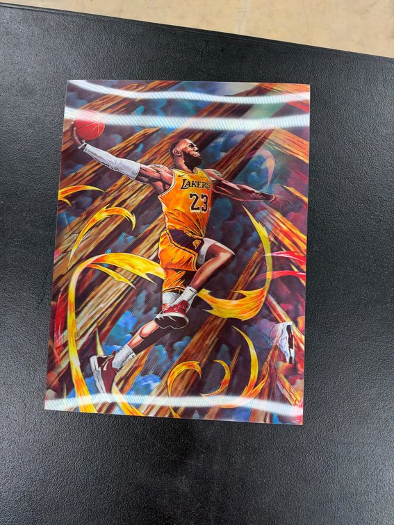 Michael Jordan & LeBron James holographic sign