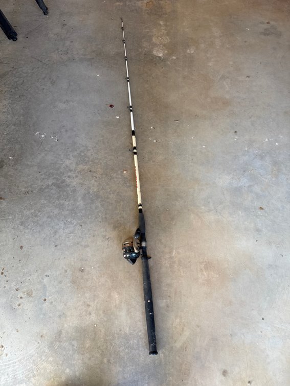 Rod and reel