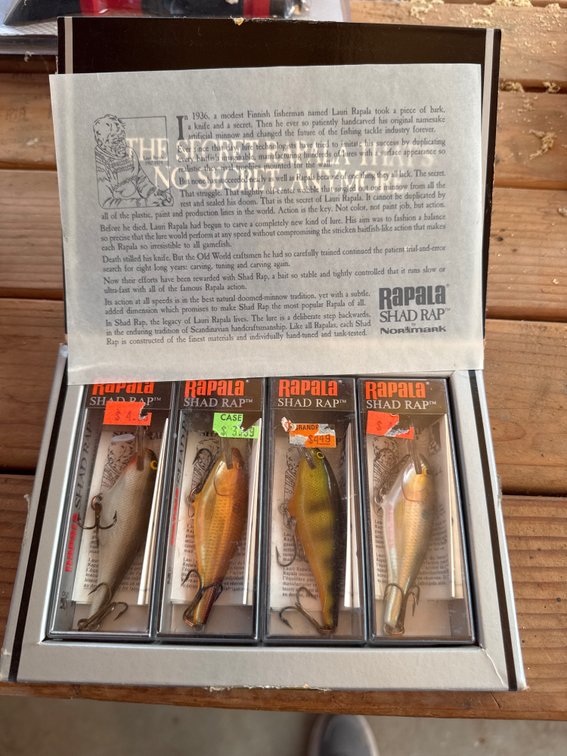 Rapala shad rap
