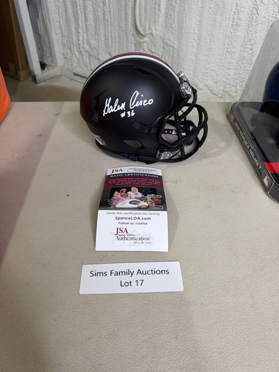 Galen Cisco auto mini helmet-Ohio State