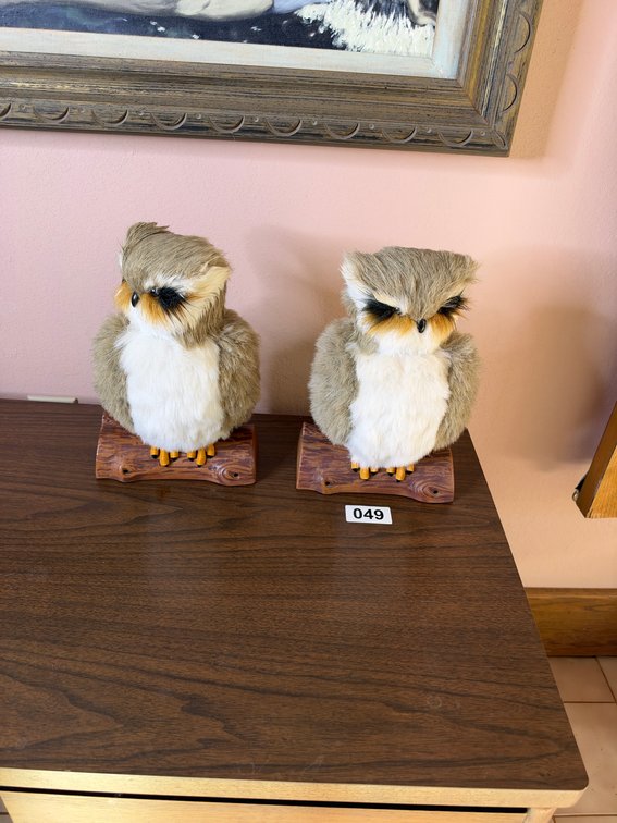 Owl