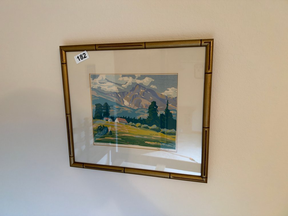 Estes Park, Colorado print