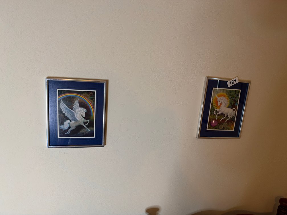 Two unicorn pictures