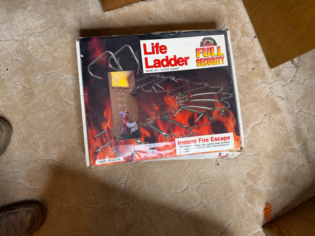 Life ladder