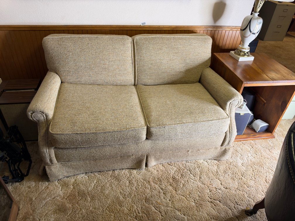 Sleeper sofa (downstairs)
