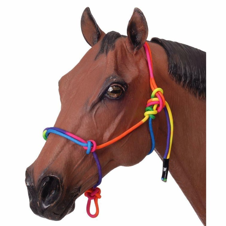 Rainbow Cowboy Halter
