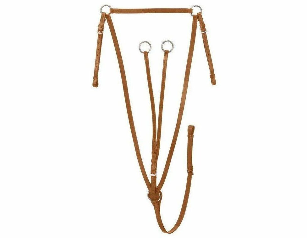 Silver Fox Running Martingale