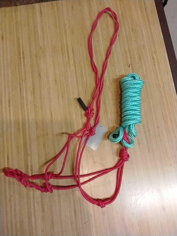 Red Knotted Traing Halter with green Lead