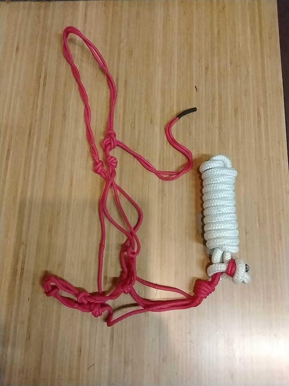Red Knotted Traing Halter with white Lead