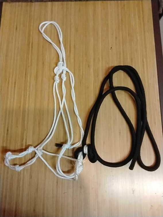 White Knotted Traing Cowboy Halter