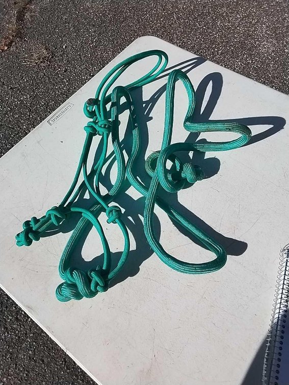Unused Teal Cowboy Halter w/Lead