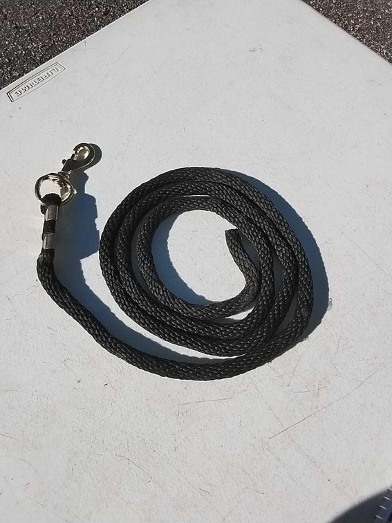 Black Lead Rope