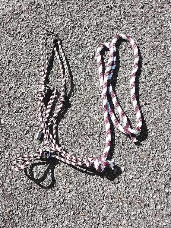 Cowboy Halter with lead