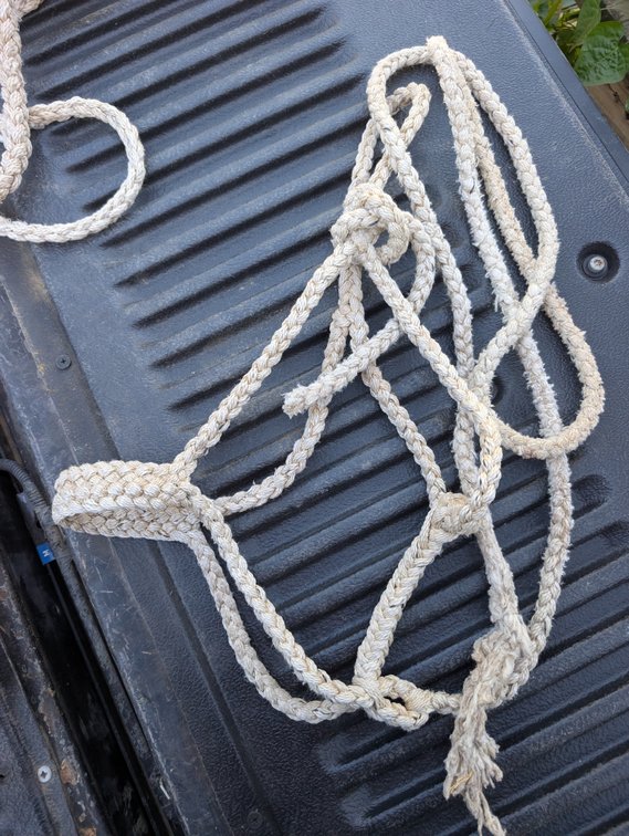 Lot of 2 Used Mule Tape Halter (Small Horse)