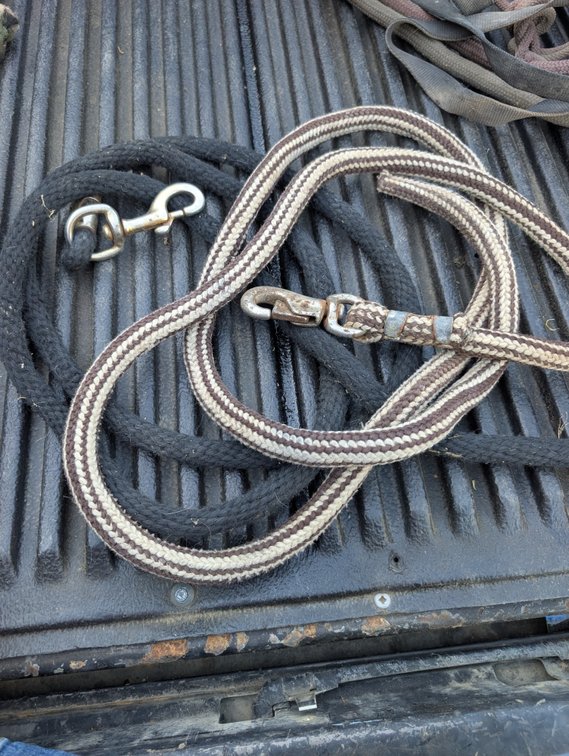 2 Used Lead Ropes