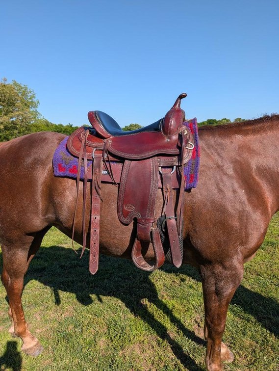 Lightly Used Reinsman 16in Saddle