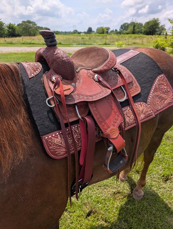 New 10in Silver Royal Cowboy Saddle