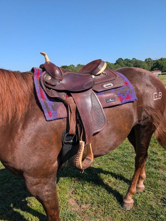 Used Dakota 16in All Around Saddle