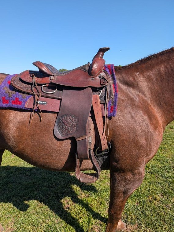 Used 15in Western Saddle