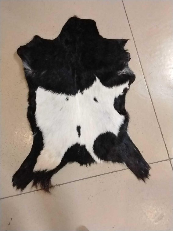 Genuine Black & White Goat Hide - Hawk