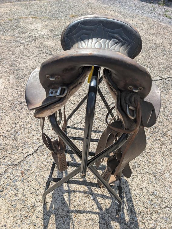 Used Hornless Leather Saddle