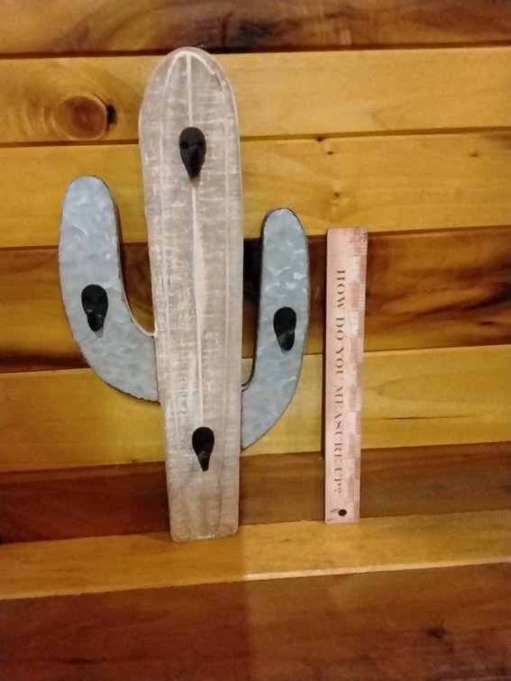 Small Cactus Wall Rack