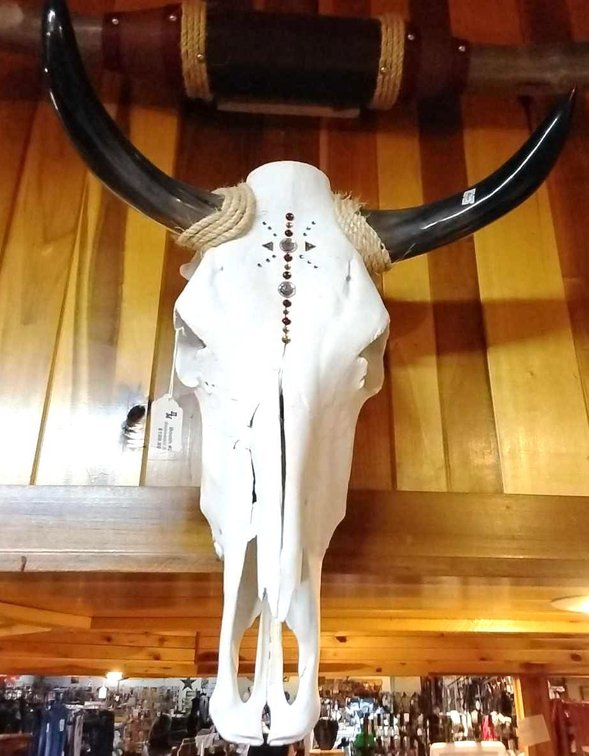 Skull with horns