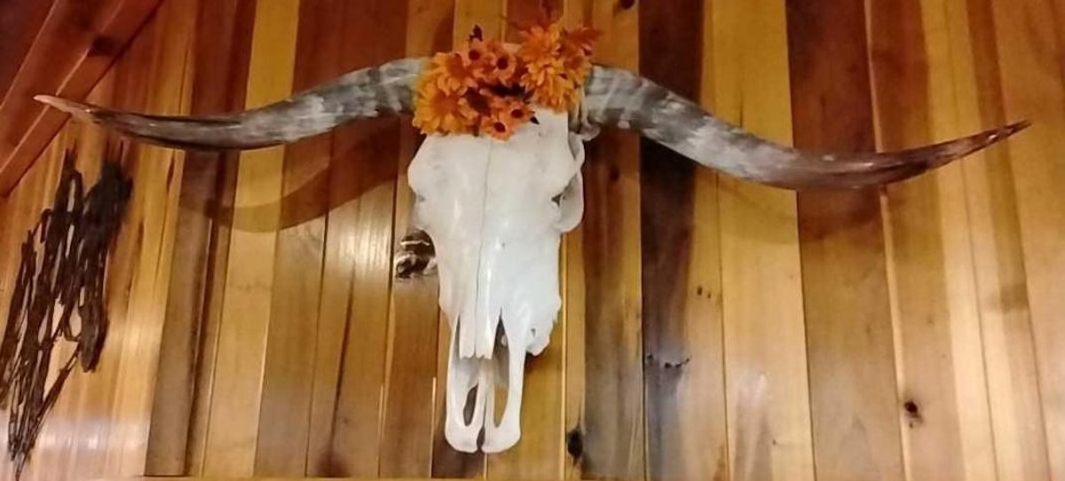 Skull with horns