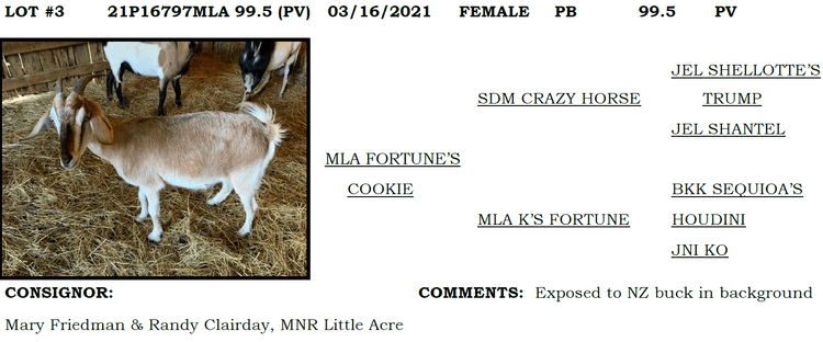 Image for 2022 IKGA KikoFest Sale