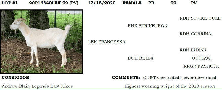 Image for 2022 IKGA KikoFest Sale