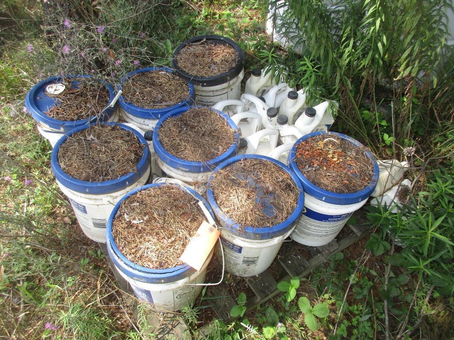 (8) Plastic Buckets and More