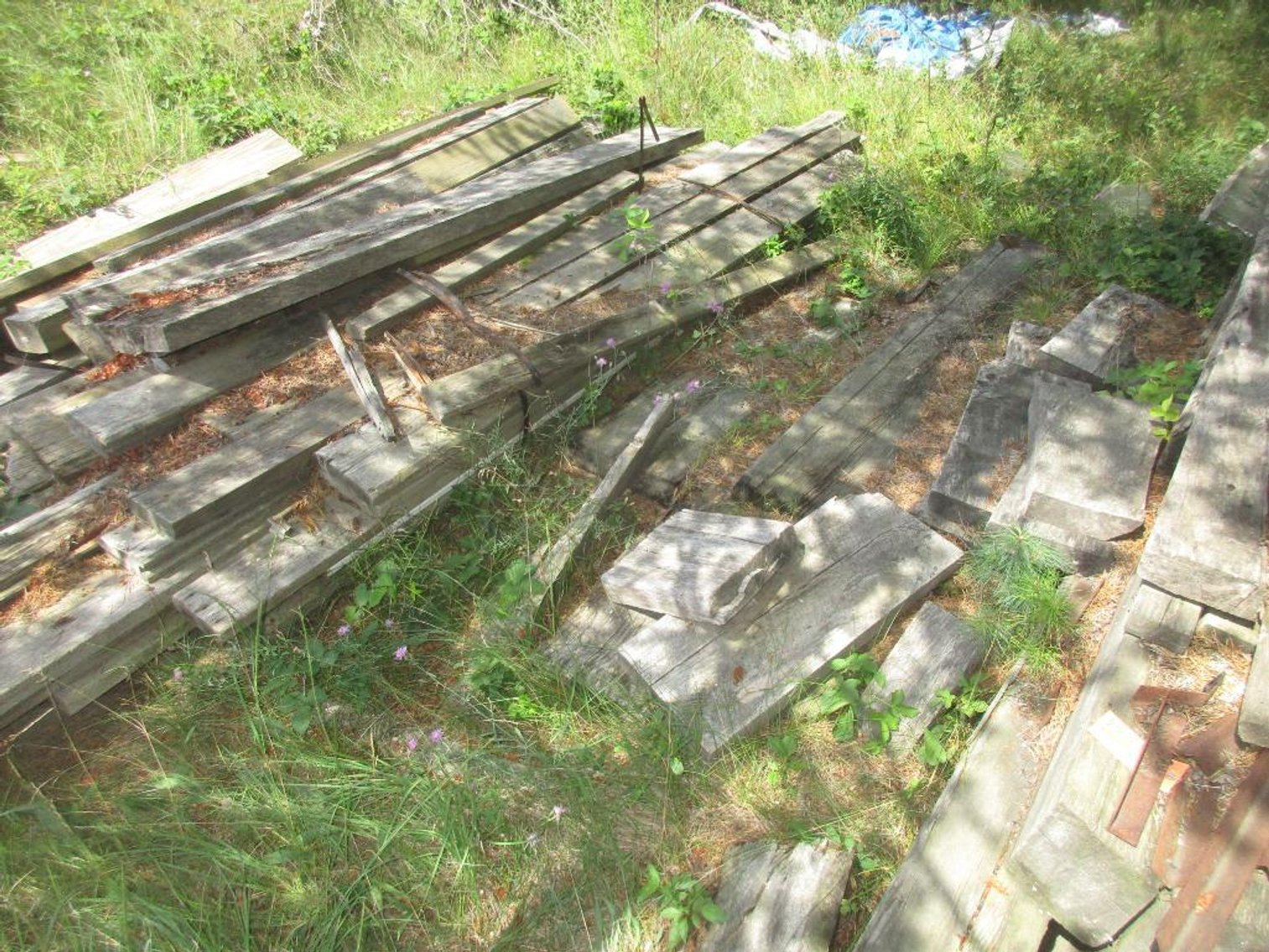 Large Lot of Misc. Wood