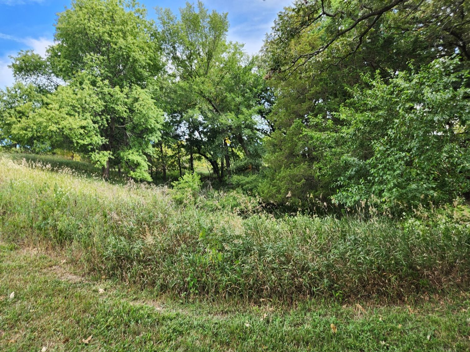 Image for 2870 215th Street, Sac City!