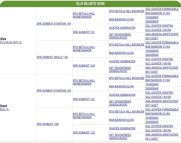Image for Good As Gold Kikos - Easter Frozen Genetics  Hunt