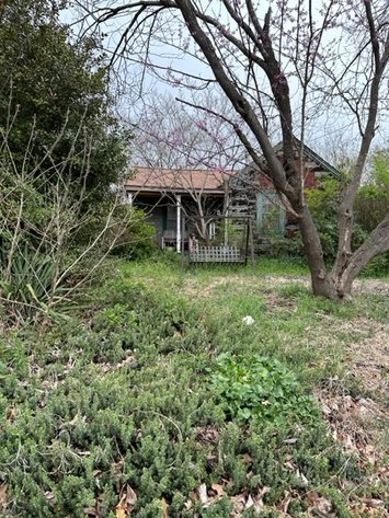 Estate of Shirley Denise Martin (living)