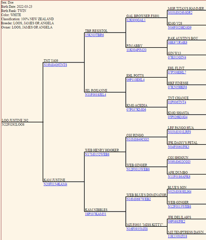 Image for 2023 Bluegrass Performance Invitational