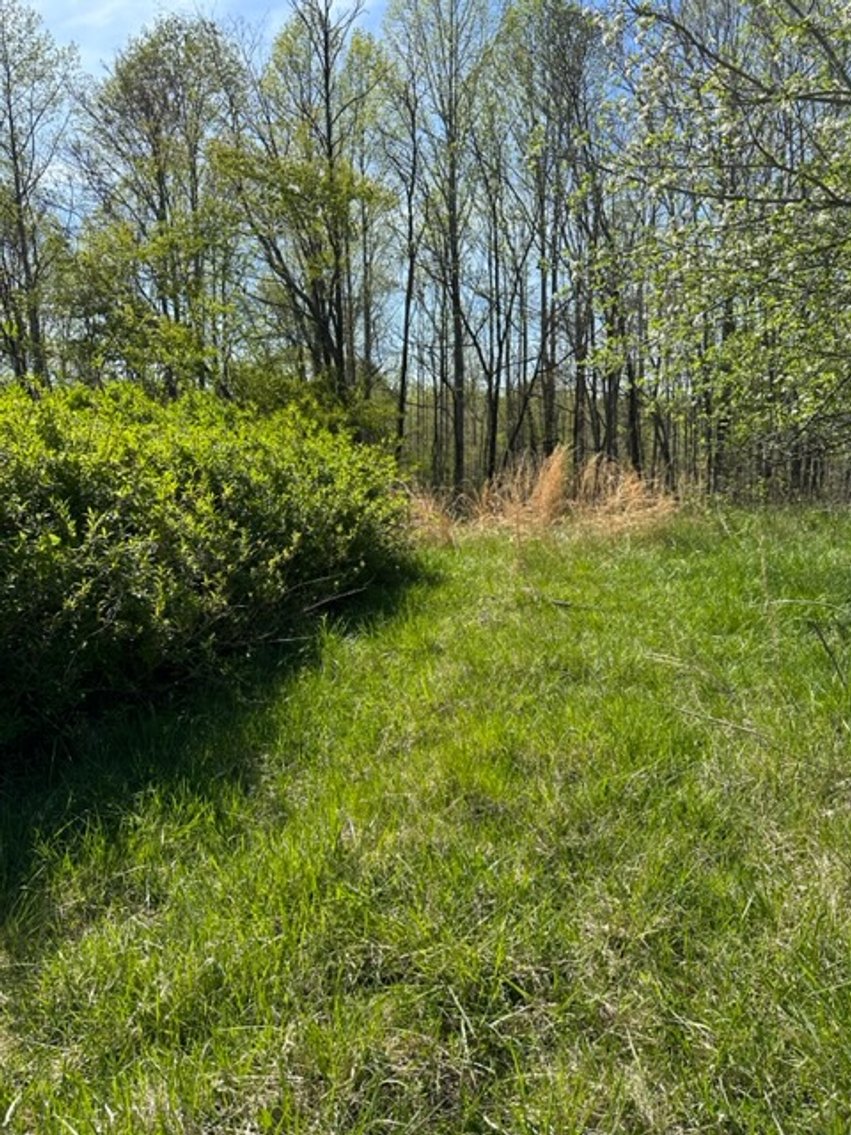Image for 620 Park Rd., Mayodan, NC