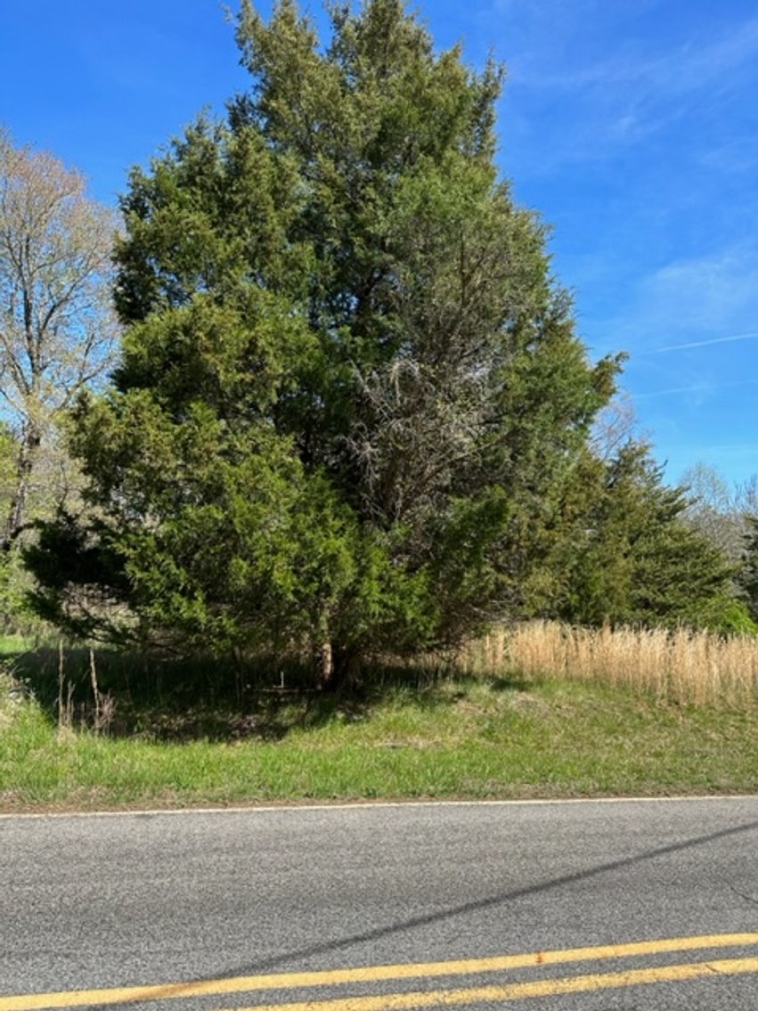 Image for 620 Park Rd., Mayodan, NC